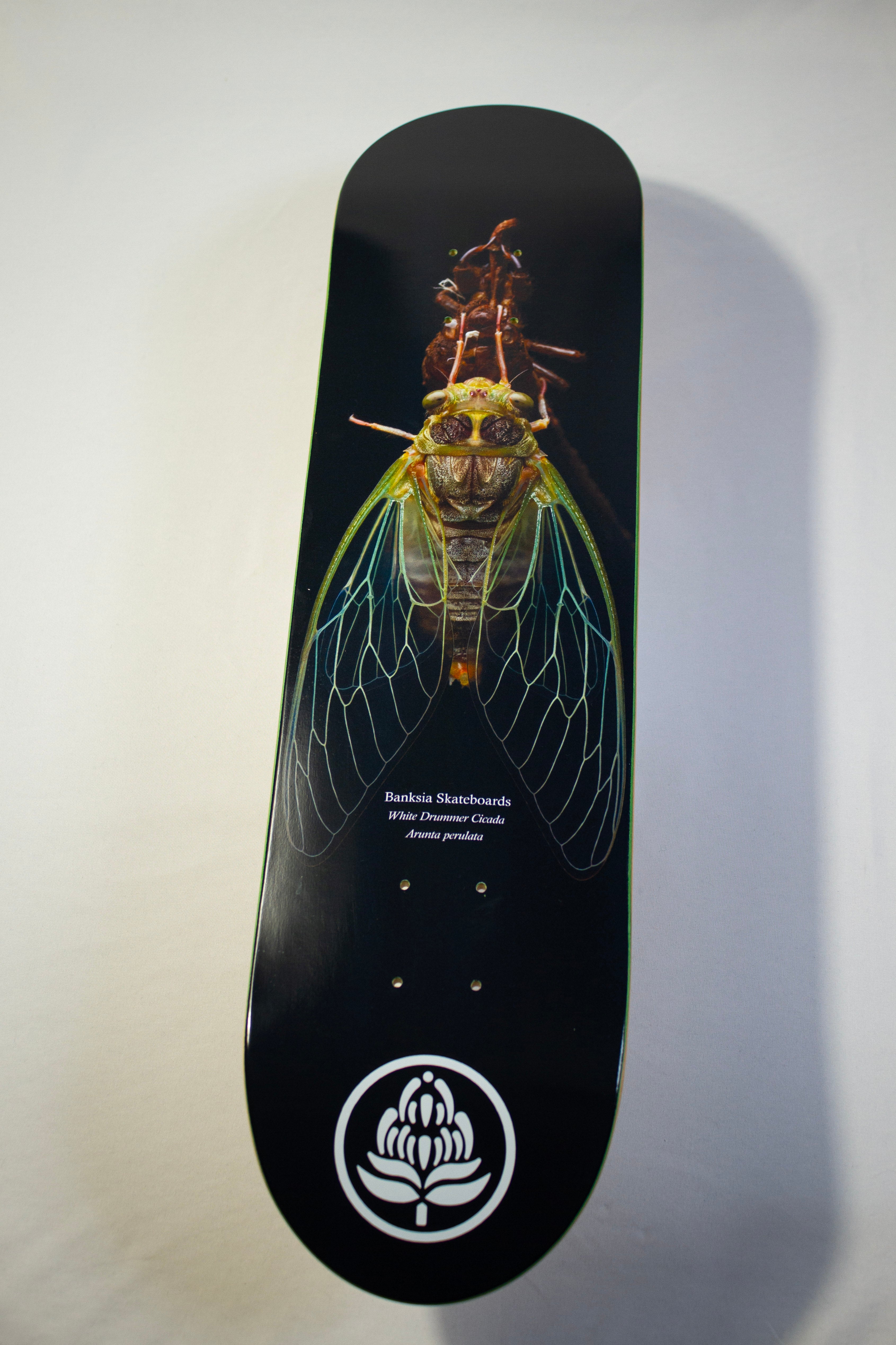 White Drummer Cicada Deck