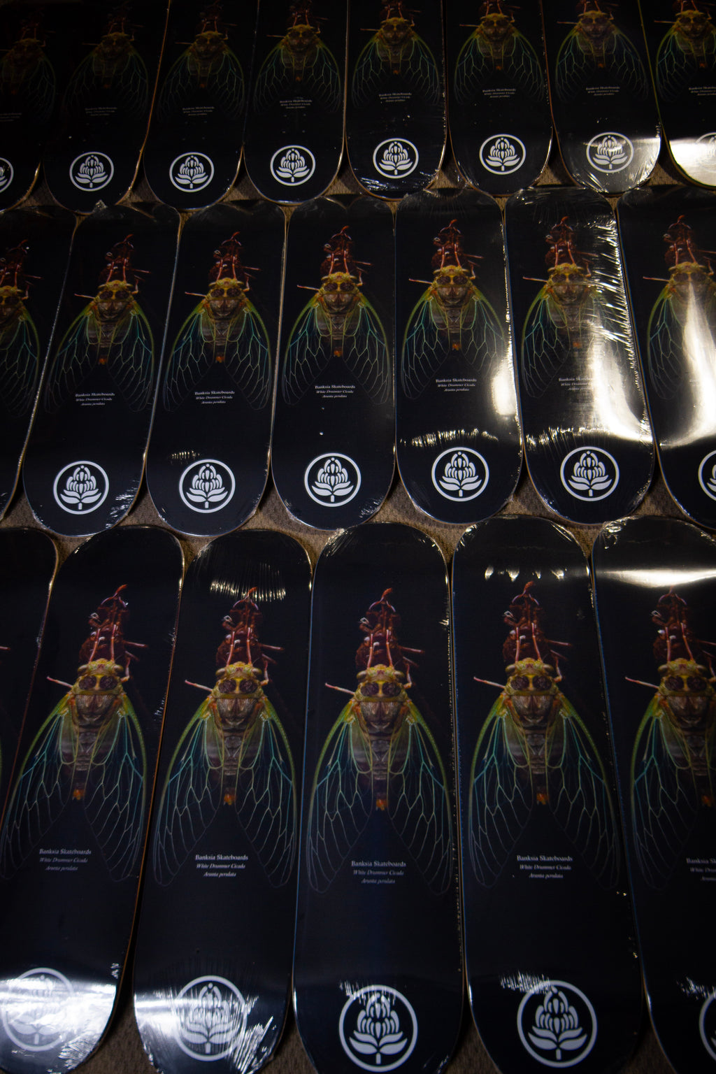 White Drummer Cicada Deck